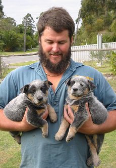 Puppies