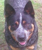 Mageela Mystic Spirit